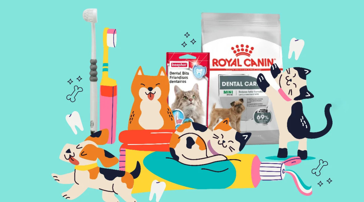 Hondenspullen Serie Winkel -Hondenspullen Serie Winkel KYIYI