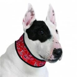 Aqua Coolkeeper Coolkeeper Halsband XL