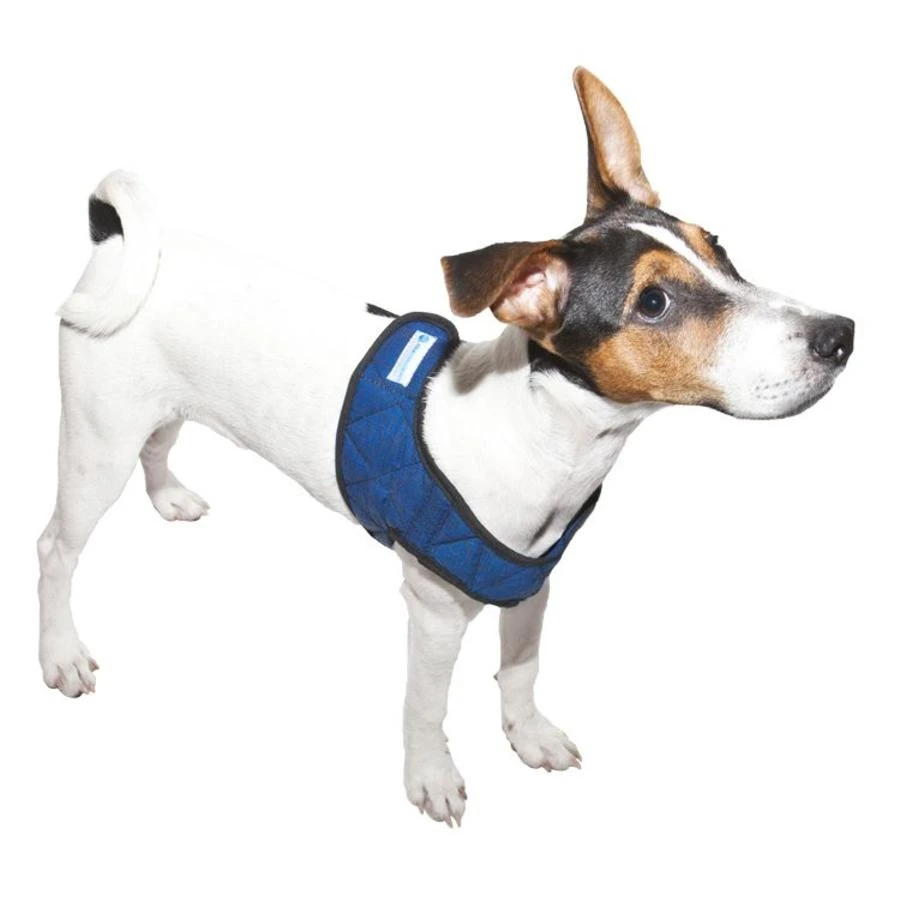 Aqua Coolkeeper Coolkeeper Hondentuig Blauw 4 Aqua Coolkeeper Coolkeeper Hondentuig Blauw - Afbeelding 2