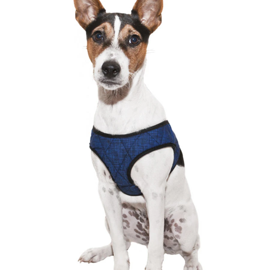 Aqua Coolkeeper Coolkeeper Hondentuig Blauw 5 Aqua Coolkeeper Coolkeeper Hondentuig Blauw - Afbeelding 3