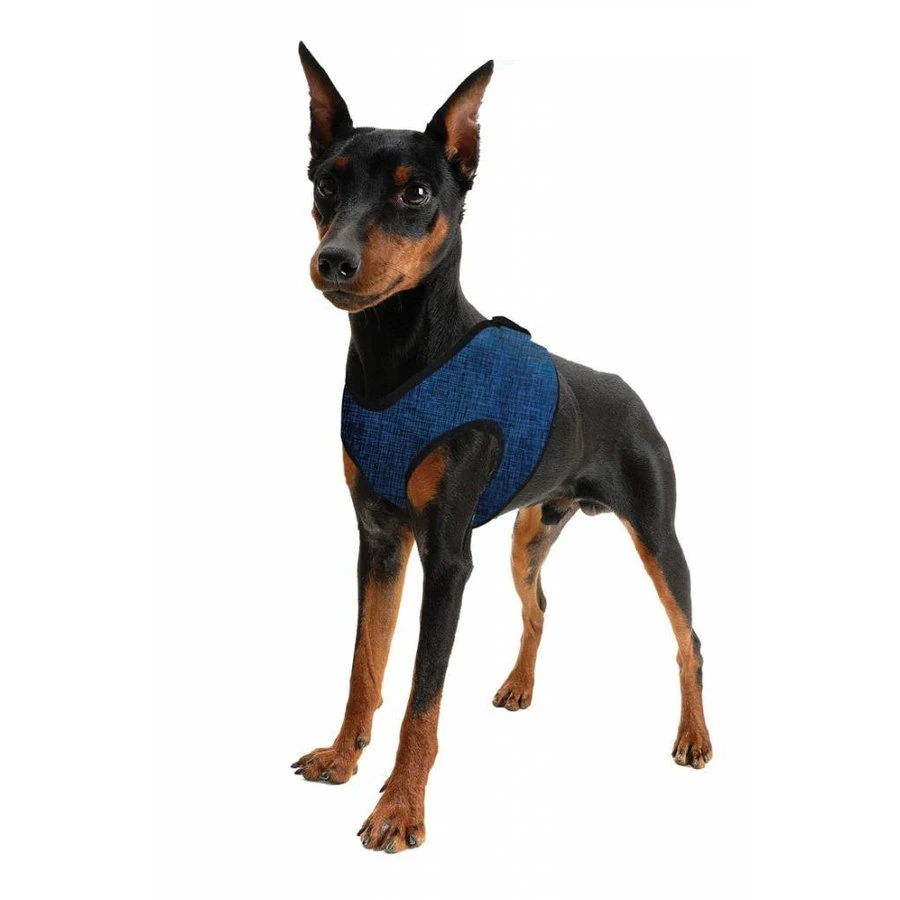 Aqua Coolkeeper Coolkeeper Hondentuig Blauw 3 Aqua Coolkeeper Coolkeeper Hondentuig Blauw