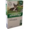 Bayer Advantage Voor Honden 4 Pipetten