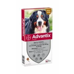 Bayer Advantix Spot On Hond 4 Pipetten -Hondenspullen Serie Winkel bayer advantix spot on hond 4 pipetten 4