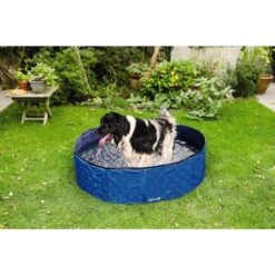 Beeztees Stevig Hondenzwembad