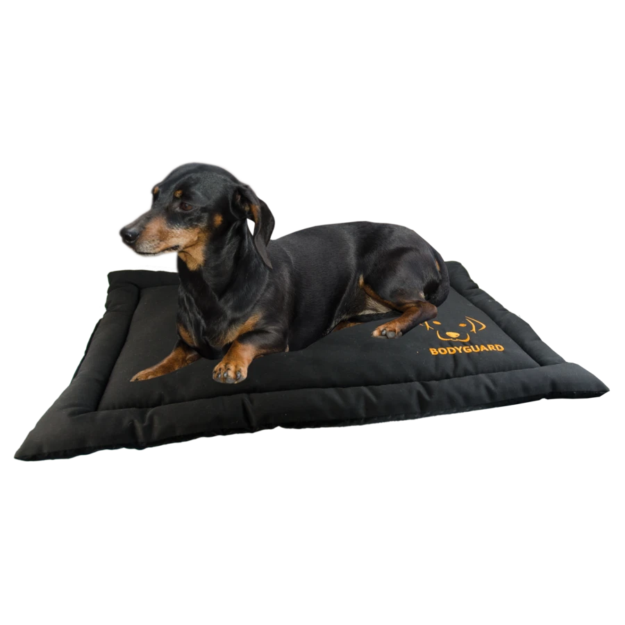 Bodyguard Transport Mat S 3 Bodyguard Transport Mat S