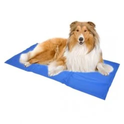 Duvo+ Koelmat Blauw -Hondenspullen Serie Winkel duvo koelmat blauw 3
