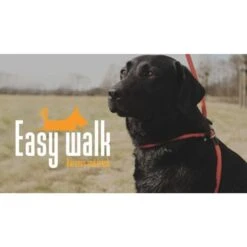 H.A.C. Easy Walk Mini 8 H.A.C. Easy Walk Mini -Hondenspullen Serie Winkel hac easy walk mini 2