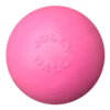 Jolly Pets Ball Bounce-n Play Roze
