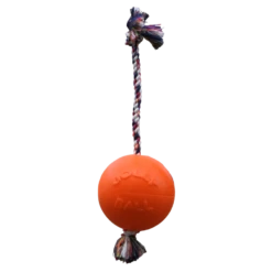 Jolly Pets Ball Romp-n-Roll Oranje
