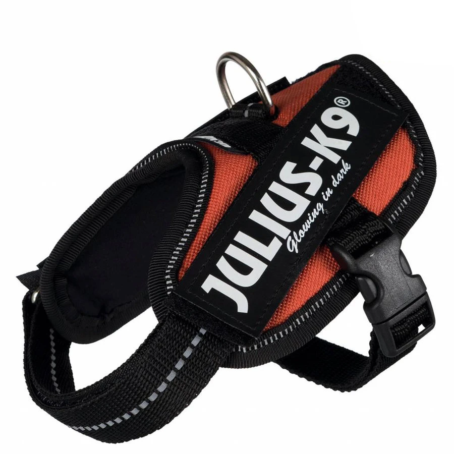 Julius K9 Julius-K9 IDC Powerharness 3 (82-115cm) 4 Julius K9 Julius-K9 IDC Powerharness 3 (82-115cm) - Afbeelding 2
