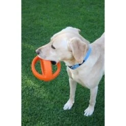 Junai.nl Grubber Voetbal -Hondenspullen Serie Winkel junainl grubber voetbal 3