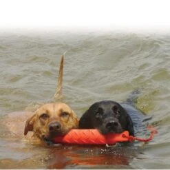 Kong Training Dummy -Hondenspullen Serie Winkel kong training dummy 2