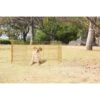 Pawise Dog Play Pen Hondenren -Hondenspullen Serie Winkel pawise dog play pen hondenren