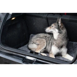 Royal Dry Honden- Deurmat -Hondenspullen Serie Winkel royal dry honden deurmat 2