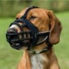 Trixie Muilkorf Muzzle Flex -Hondenspullen Serie Winkel trixie muilkorf muzzle flex