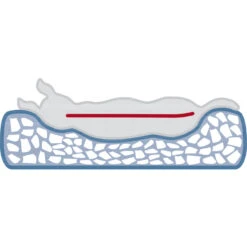 Trixie Vitaal Kussen Bendson 11 Trixie Vitaal Kussen Bendson -Hondenspullen Serie Winkel trixie vitaal kussen bendson 4