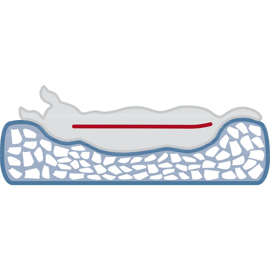 Trixie Vitaal Kussen Bendson 7 Trixie Vitaal Kussen Bendson - Afbeelding 5