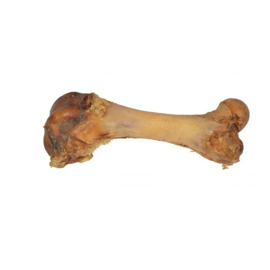 Wielink 100x Mini Dinobot 3 Wielink 100x Mini Dinobot