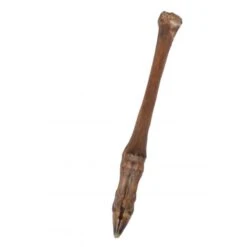 Wielink 10x Ree-pootjes